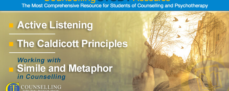 073 – Metaphor in Counselling